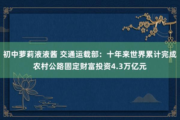 初中萝莉液液酱 交通运载部：十年来世界累计完成农村公路固定财富投资4.3万亿元