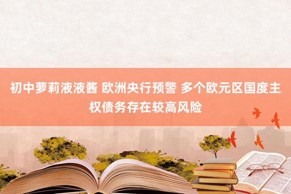 初中萝莉液液酱 欧洲央行预警 多个欧元区国度主权债务存在较高风险