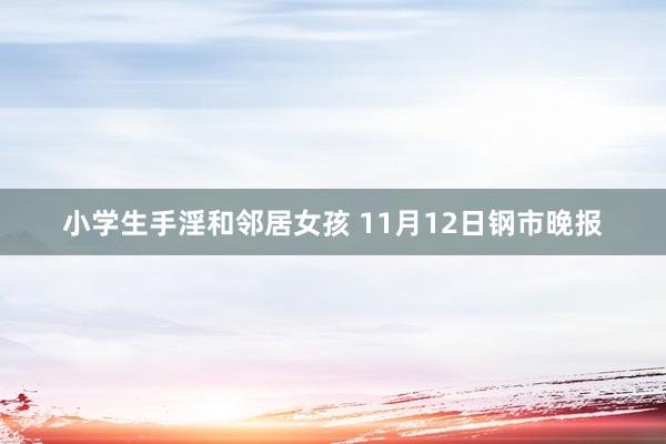 小学生手淫和邻居女孩 11月12日钢市晚报