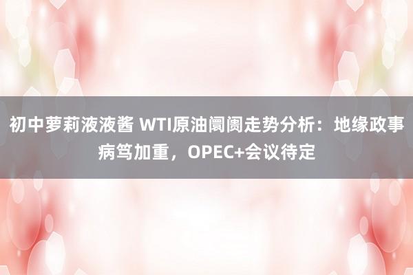 初中萝莉液液酱 WTI原油阛阓走势分析：地缘政事病笃加重，OPEC+会议待定