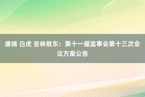 唐嫣 白虎 吉林敖东：第十一届监事会第十三次会议方案公告