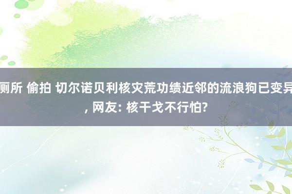 厕所 偷拍 切尔诺贝利核灾荒功绩近邻的流浪狗已变异， 网友: 核干戈不行怕?