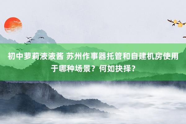 初中萝莉液液酱 苏州作事器托管和自建机房使用于哪种场景？何如抉择？