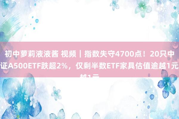 初中萝莉液液酱 视频｜指数失守4700点！20只中证A500ETF跌超2%，仅剩半数ETF家具估值逾越1元