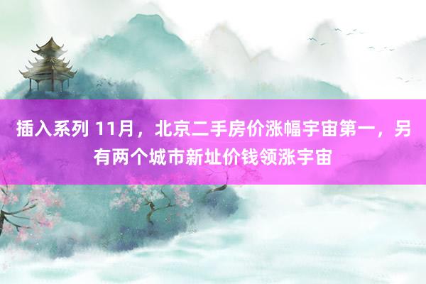 插入系列 11月，北京二手房价涨幅宇宙第一，另有两个城市新址价钱领涨宇宙