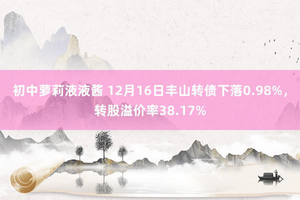 初中萝莉液液酱 12月16日丰山转债下落0.98%，转股溢价率38.17%