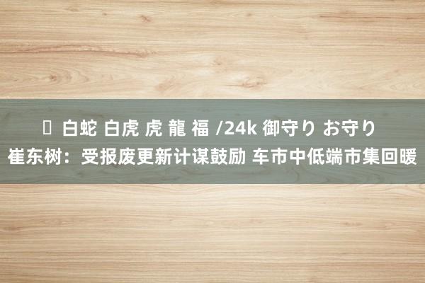 ✨白蛇 白虎 虎 龍 福 /24k 御守り お守り 崔东树：受报废更新计谋鼓励 车市中低端市集回暖