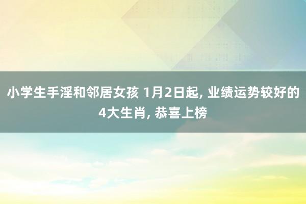 小学生手淫和邻居女孩 1月2日起， 业绩运势较好的4大生肖， 恭喜上榜