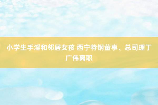 小学生手淫和邻居女孩 西宁特钢董事、总司理丁广伟离职