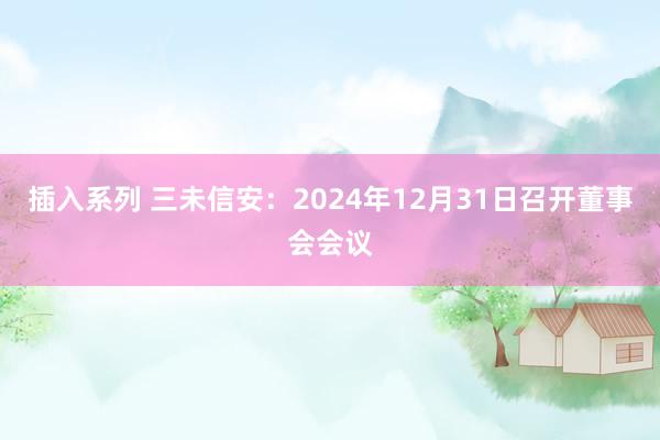 插入系列 三未信安：2024年12月31日召开董事会会议