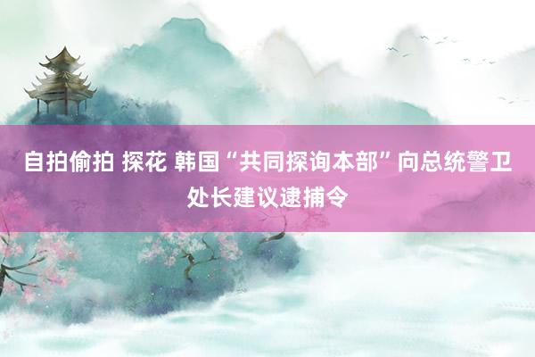 自拍偷拍 探花 韩国“共同探询本部”向总统警卫处长建议逮捕令