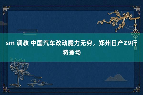 sm 调教 中国汽车改动魔力无穷，郑州日产Z9行将登场