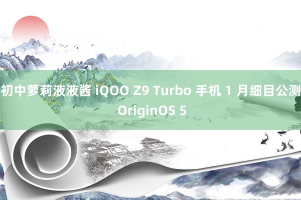 初中萝莉液液酱 iQOO Z9 Turbo 手机 1 月细目公测 OriginOS 5