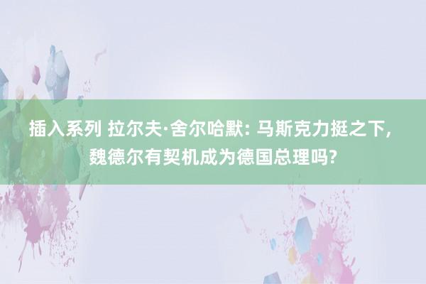 插入系列 拉尔夫·舍尔哈默: 马斯克力挺之下， 魏德尔有契机成为德国总理吗?