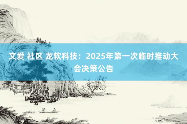 文爱 社区 龙软科技：2025年第一次临时推动大会决策公告